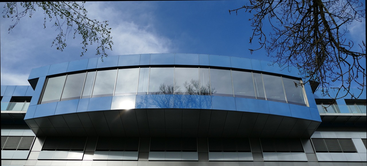 他趣实名账号：实名账号制度下的知识流失和创新产业发掘问题