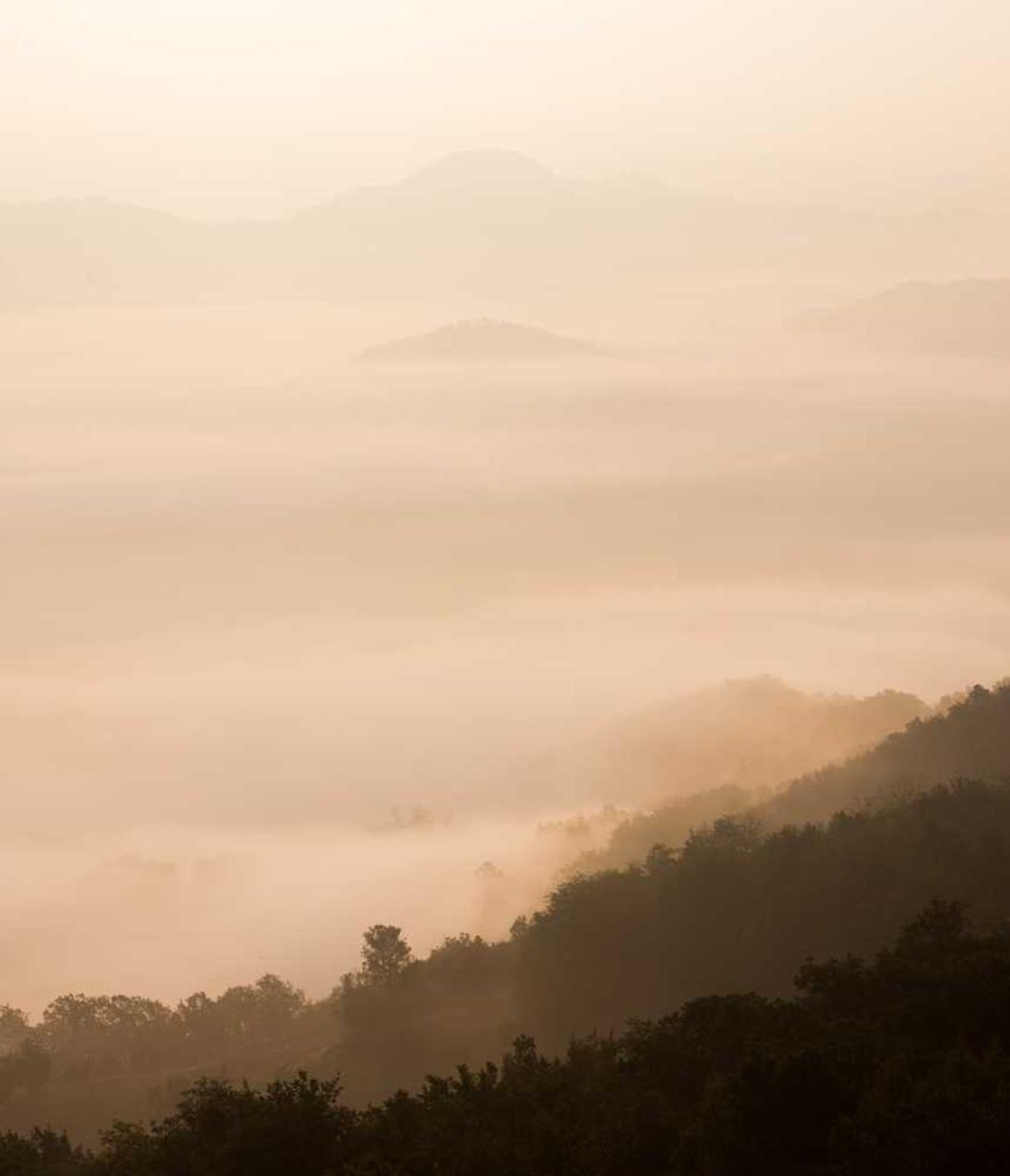 蓝猫移动实名账号：游戏平台代理游戏平台