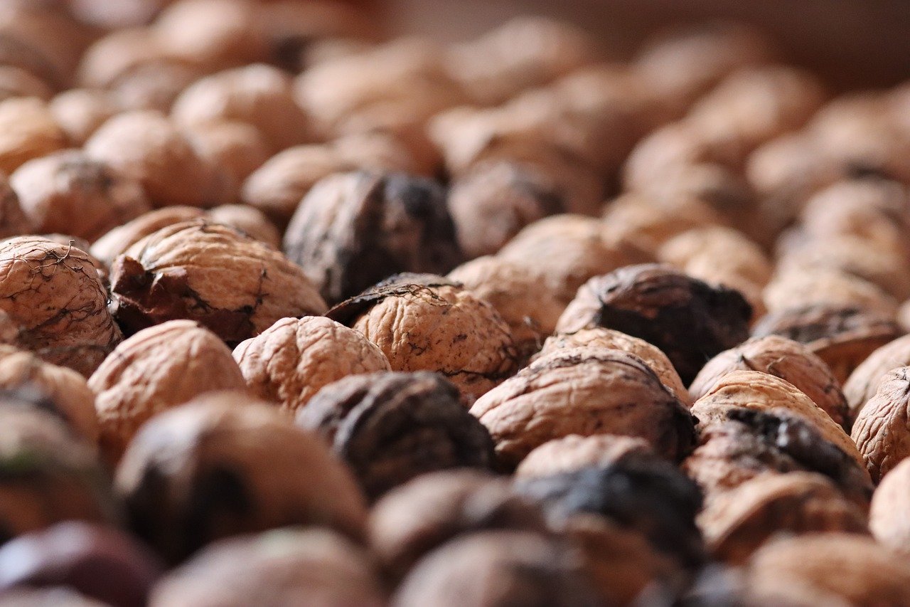 郑州讯捷实名账号：实名账号申请是否需要预留一定的处理时间？