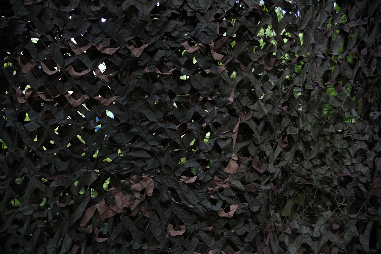 Peel百乐蓝莓爆珠：有偿股票开户平台6