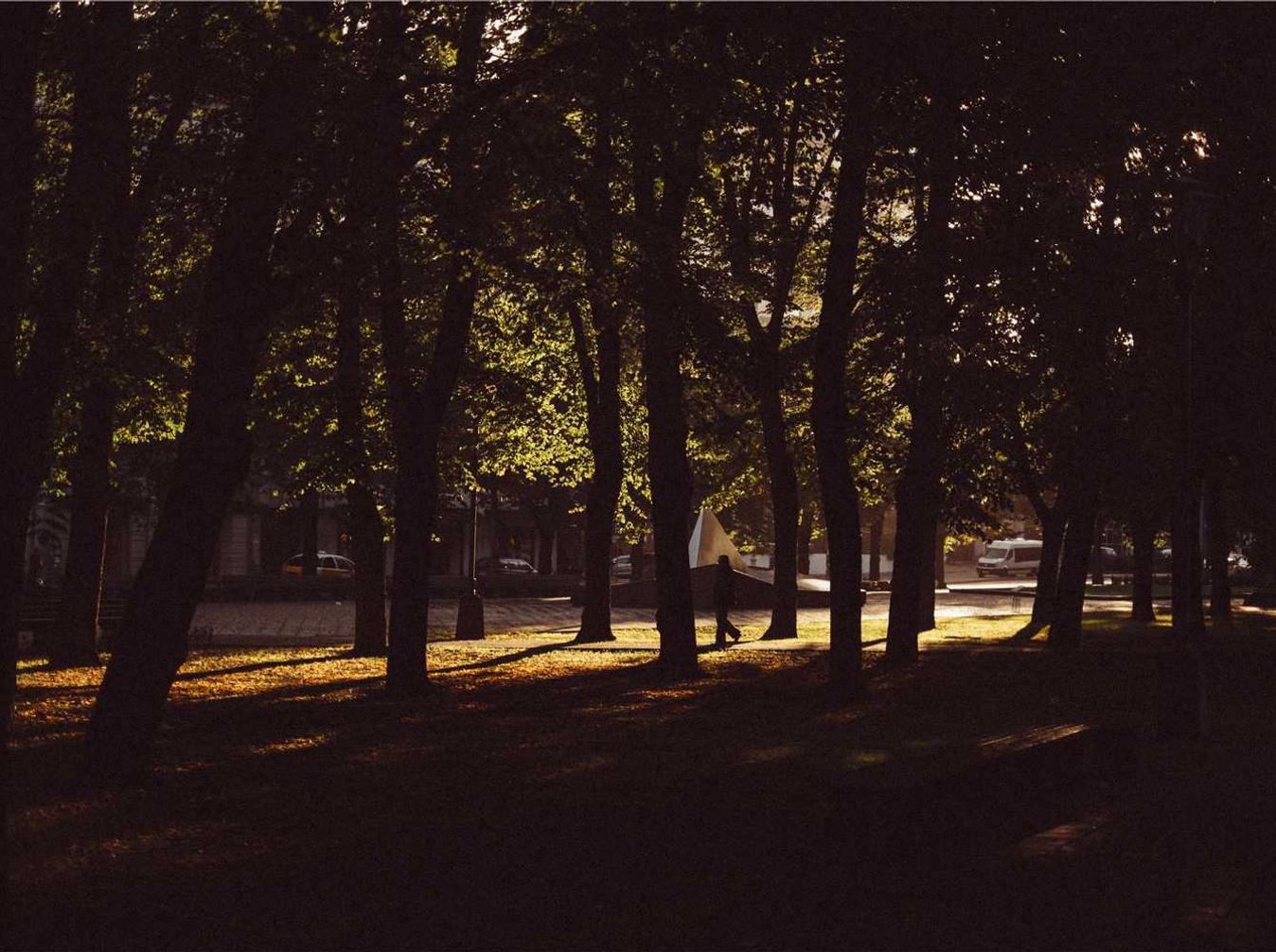 豌豆ip实名账号：热门建站代理加盟网站平台