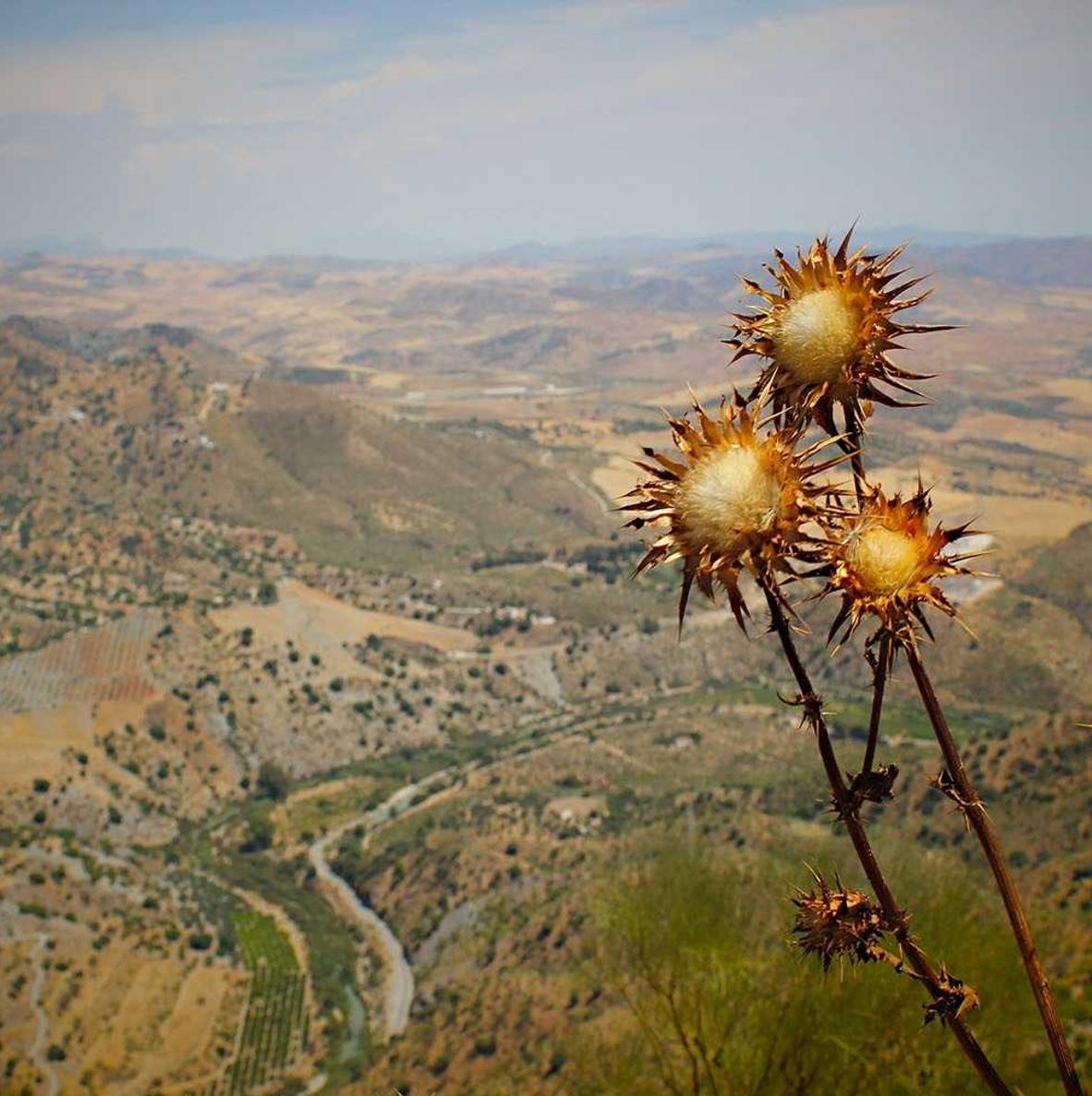 DDOS压力测试|怎么给父母注册微信账号