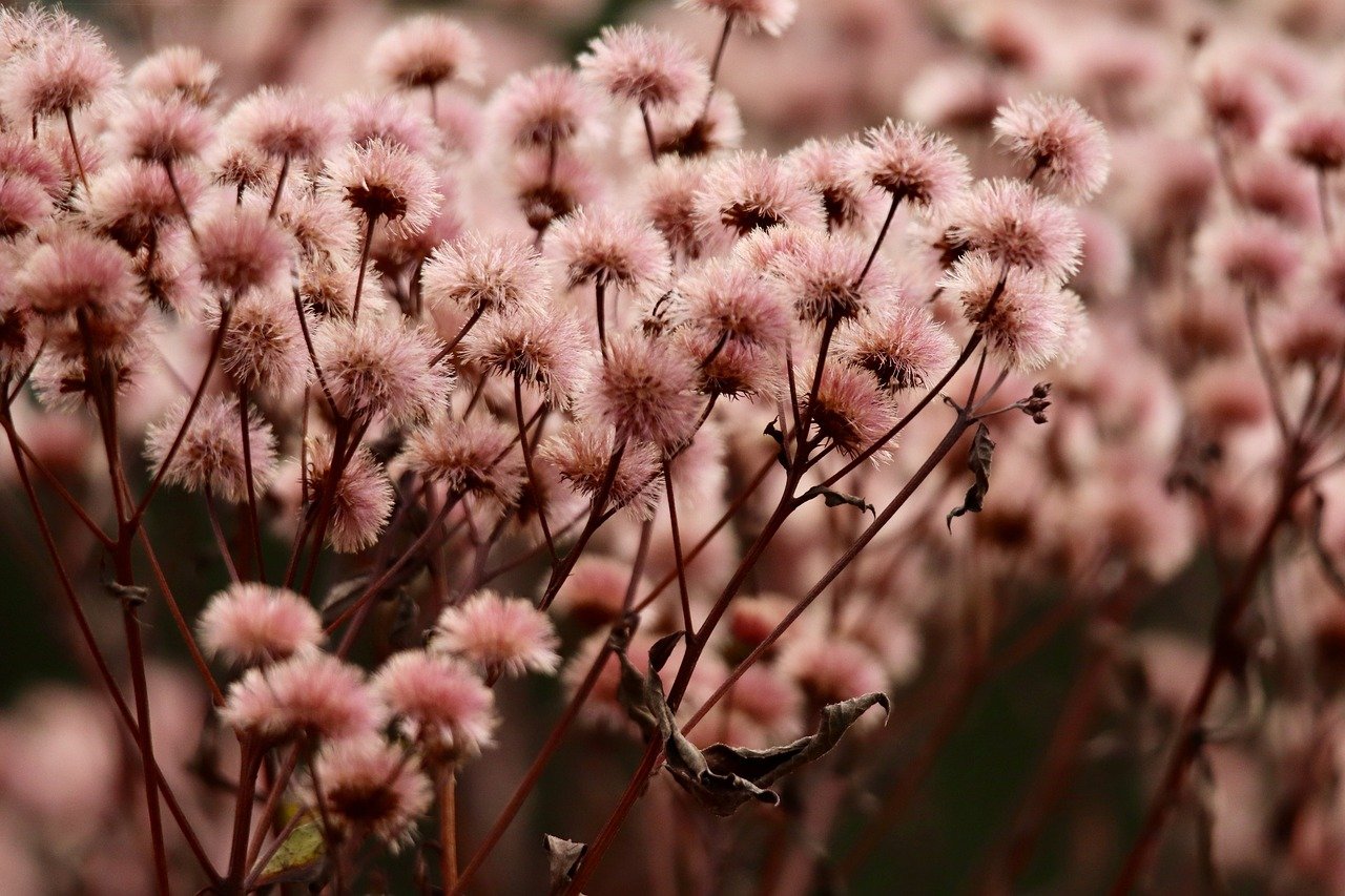 DDOS压力测试网页端|如何保护你的财务账户免受刷卡欺诈和黑客攻击